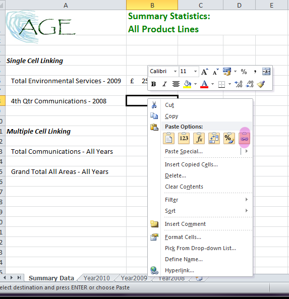 Data Linking in MS Excel Acuity Training
