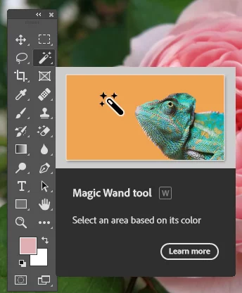 Highlights the magic wand tool