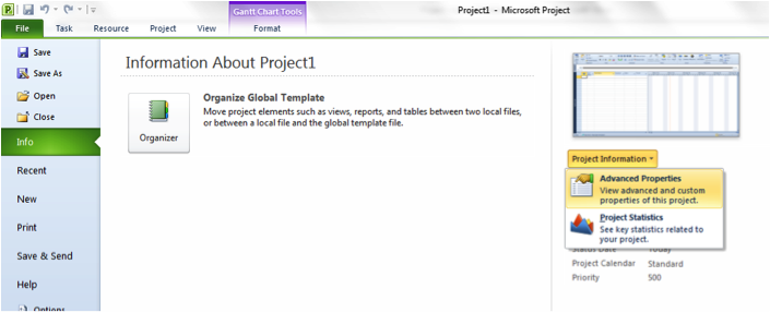 Picture of Advanced Properties in Microsoft Project