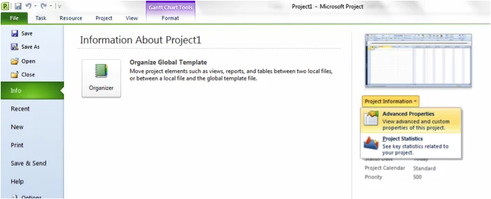 Picture of Advanced Properties in Microsoft Project