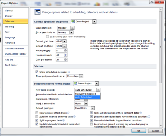 Screenshot of Project Options dialogue box in Microsoft Project