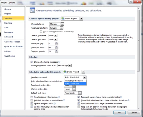 Screenshot of Project Options dialogue box in Microsoft Project