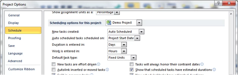 Project options screenshot in Microsoft Project