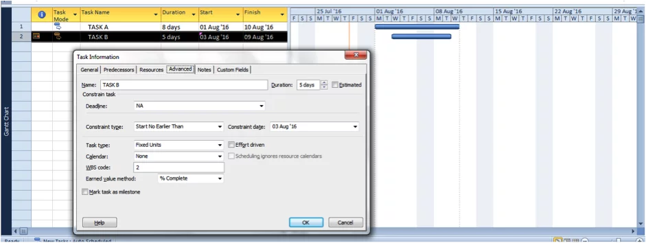 Using Task Information to note constraints in Microsoft Project