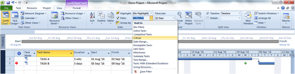 Critical filter view in Microsoft Project