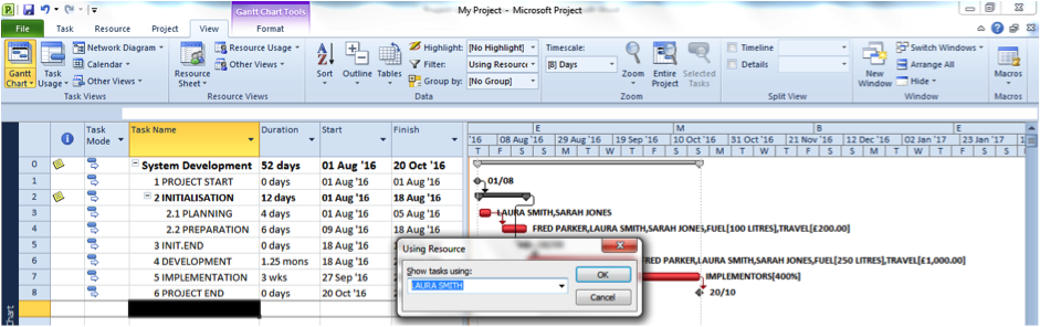 Using the Resource Filter in Microsoft Project