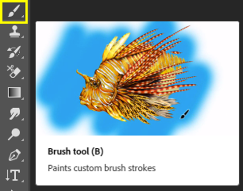 Screenshot: Where to access selection tools in Photoshop