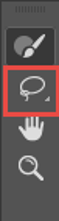 Selecting The Lasso Tool