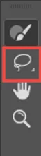 Selecting The Lasso Tool