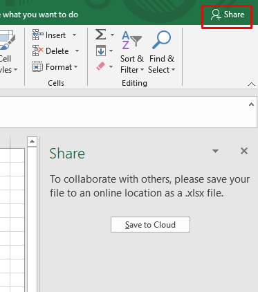 The Share option in Excel