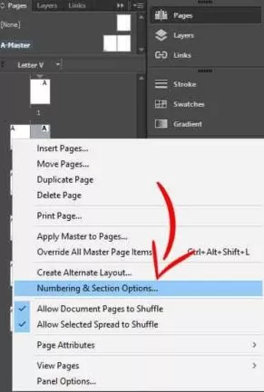 Selecting 'Numbering & Section Options'