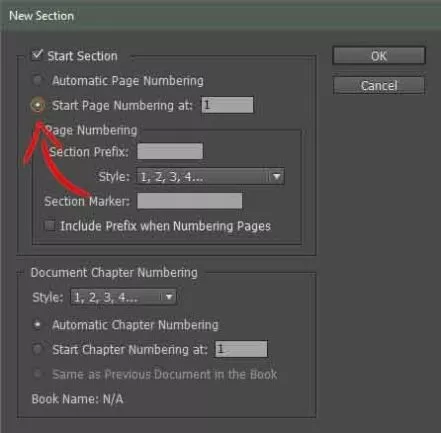 Selecting The Settings For A New Numbering Section