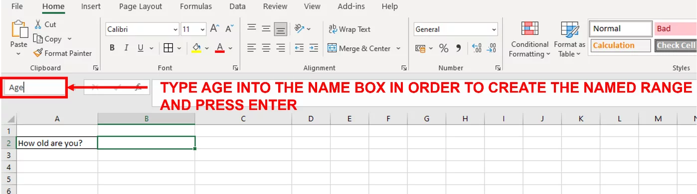 Screenshot showing Age being typed into the Name Box.