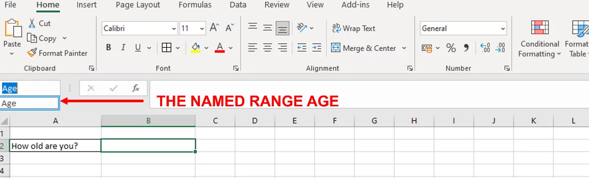Screenshot showing the newly created named range Age.