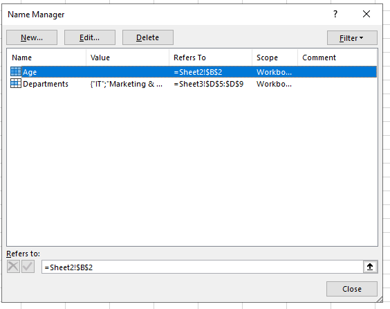 Screenshot showing the Name Manager Dialog Box.