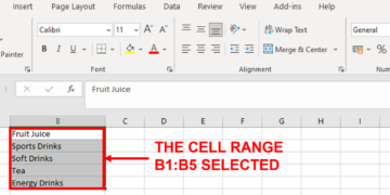 Screenshot showing cell range B1:B5 selected.