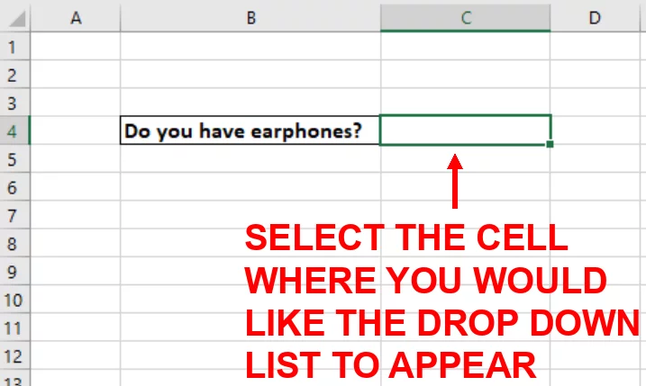 Screenshot showing the worksheet for the manual data entry with cell C4 selected