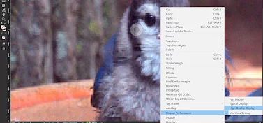 Accessing The Display Performance Menu