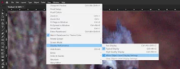 Using Allow Object Level Display Settings