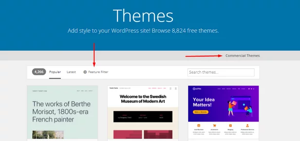 Shows the Themes section of WordPress