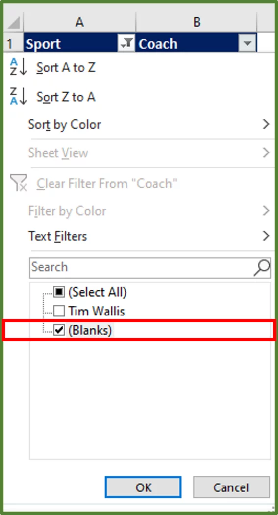 Screenshot showing Blanks selected from the second filter.
