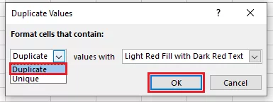 Choosing the Duplicate Option