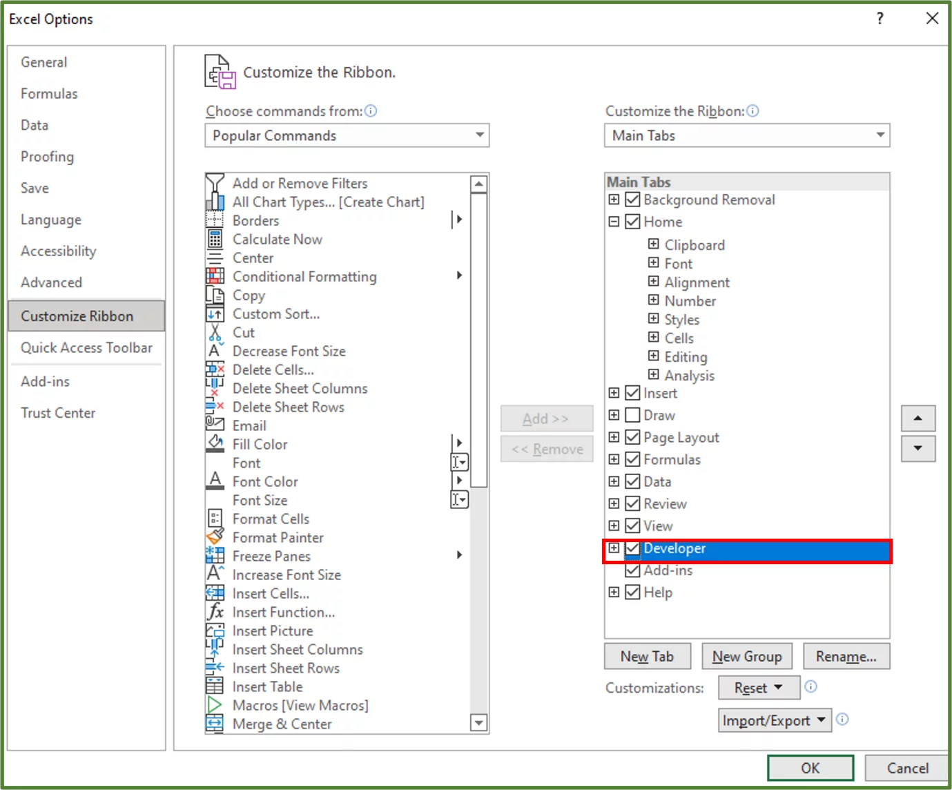 Screenshot showing the Developer Tab checkbox, selected and highlighted