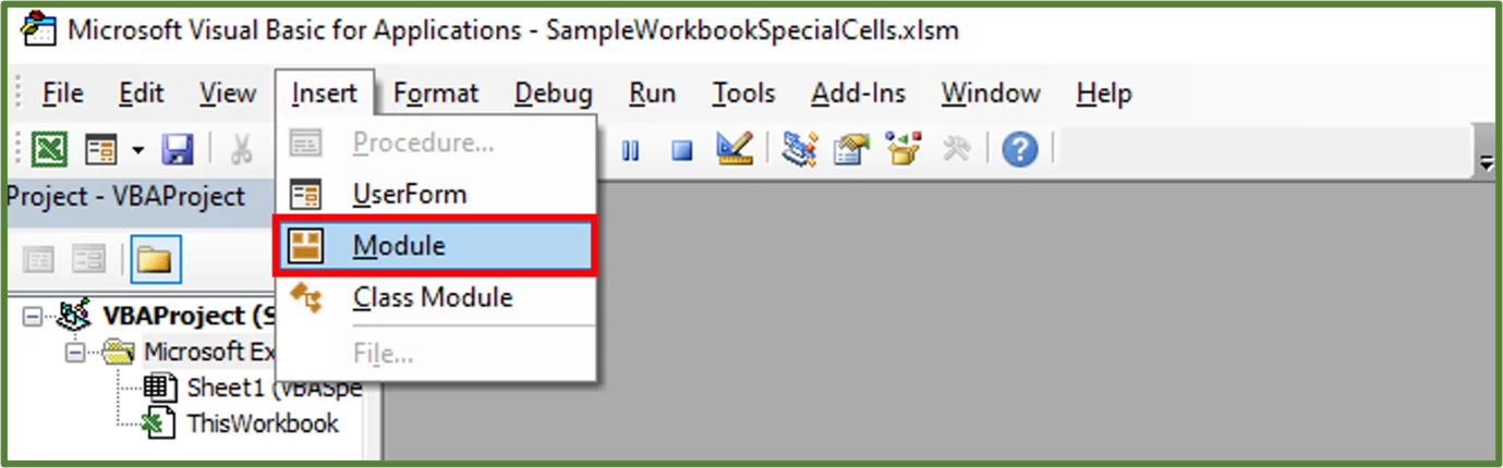 Screenshot showing the Module option in the Insert Tab highlighted.