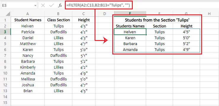 Excel filters out students from the section ”Tulips”