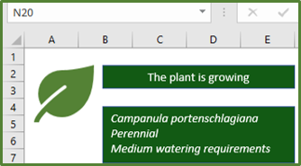 Screenshot showing the rectangles with the text, added to the worksheet as a result of running the code.