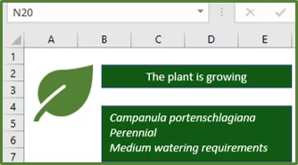 Screenshot showing the rectangles with the text, added to the worksheet as a result of running the code.