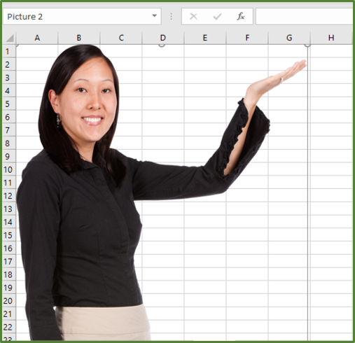 Screenshot showing the resized image.
