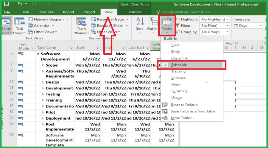 project's finish date