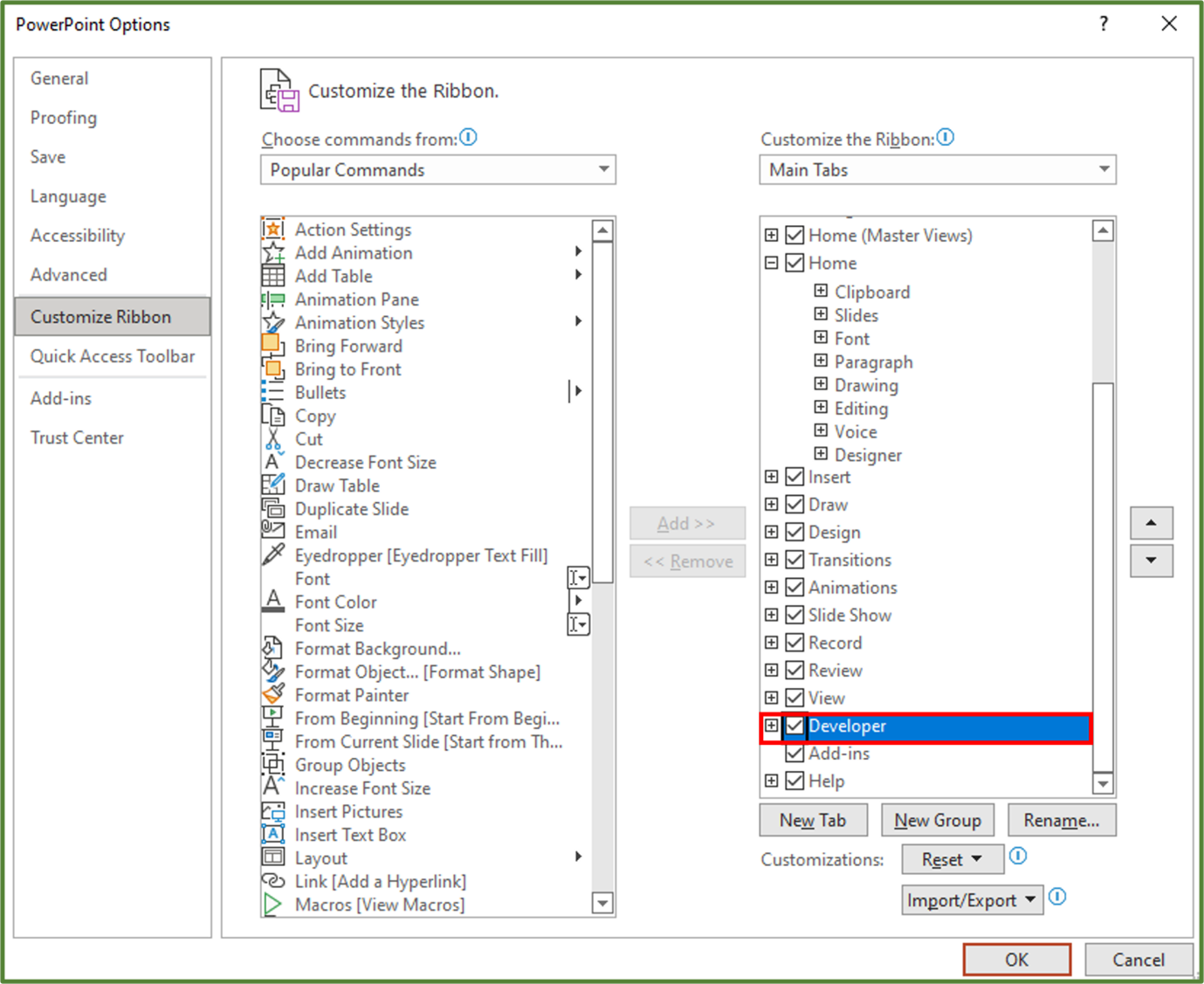 Screenshot showing the Developer Tab option checked.