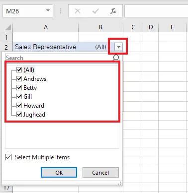 The Sales Representative report filter