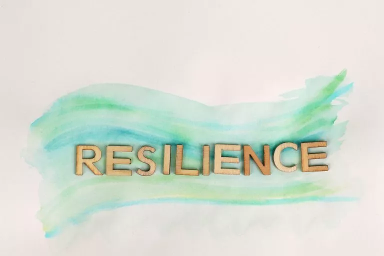 Resilience Stock 2