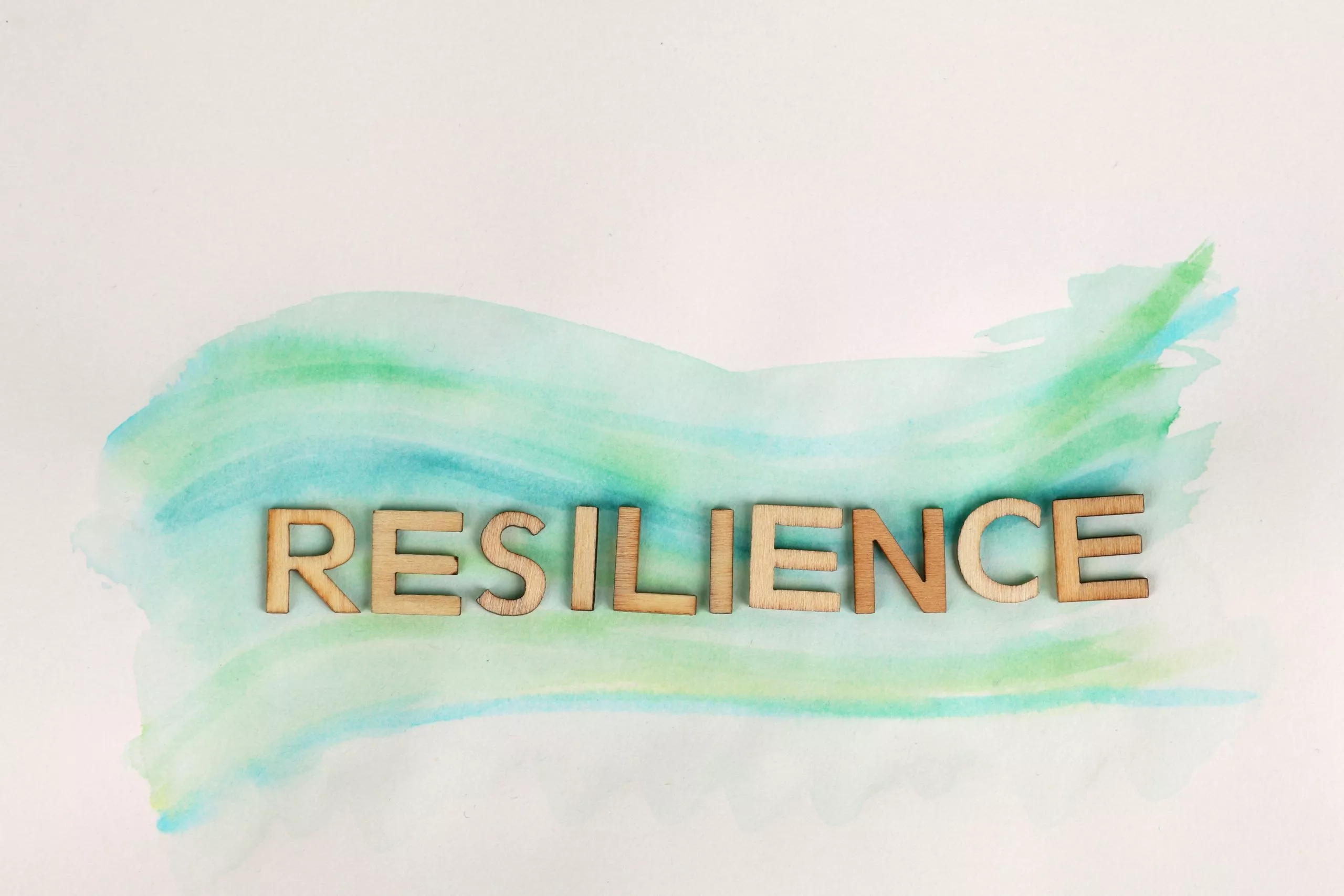 Resilience Stock 2 
