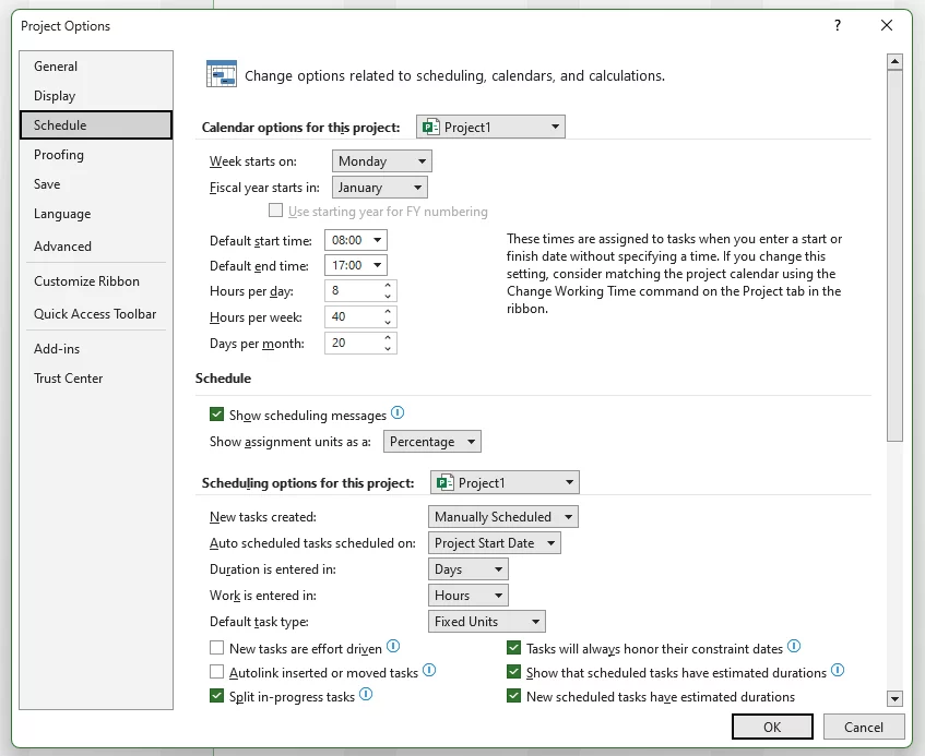 Microsoft Project settings dialog box