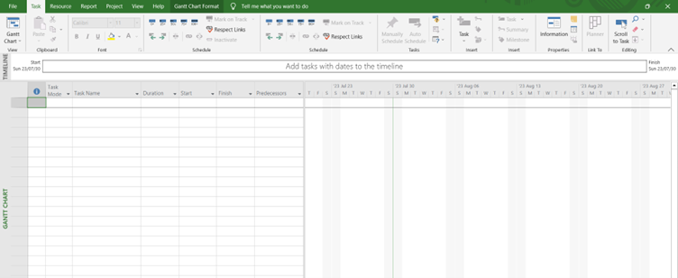 Empty Microsoft Project document. 