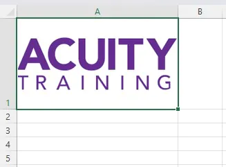 Inserting the Acuity Training logo into Excel with the IMAGE Function