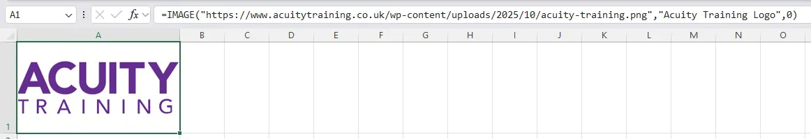 Shows the IMAGE function with proper syntax